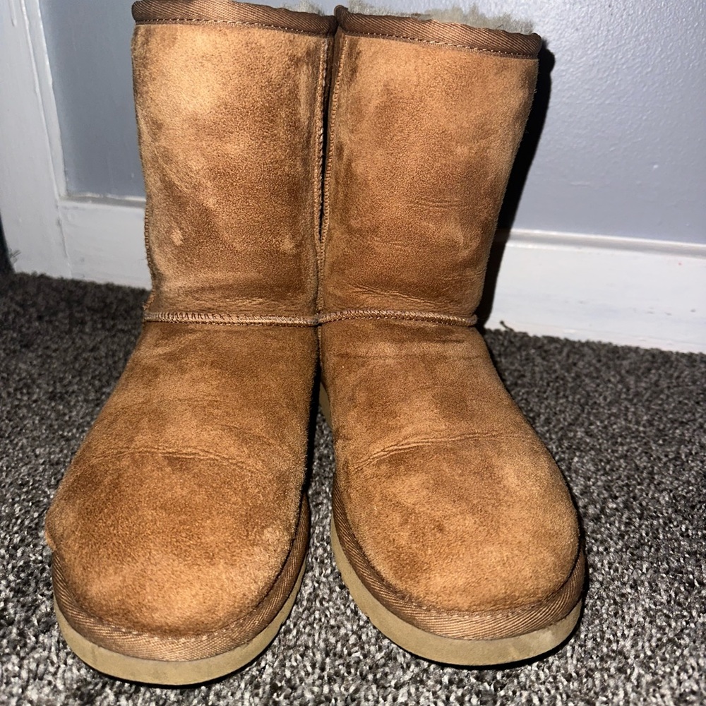 CLASSIC SHORT UGG (CHESTNUT) - Picture 5 of 8